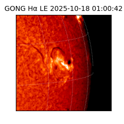 gong - 2025-10-18T01:00:42