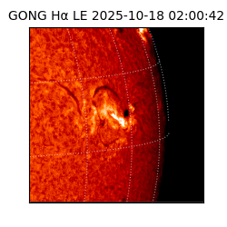gong - 2025-10-18T02:00:42