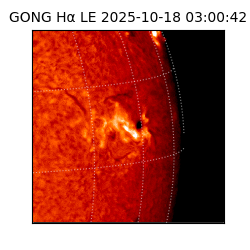 gong - 2025-10-18T03:00:42