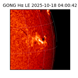 gong - 2025-10-18T04:00:42