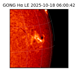gong - 2025-10-18T06:00:42