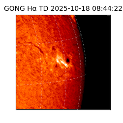 gong - 2025-10-18T08:44:22