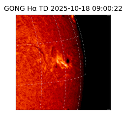 gong - 2025-10-18T09:00:22