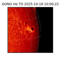 gong - 2025-10-18T10:00:22