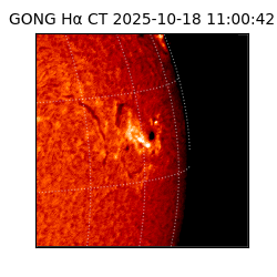 gong - 2025-10-18T11:00:42