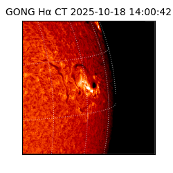 gong - 2025-10-18T14:00:42