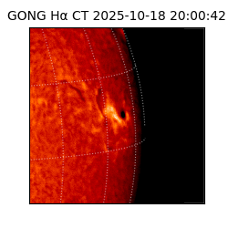gong - 2025-10-18T20:00:42