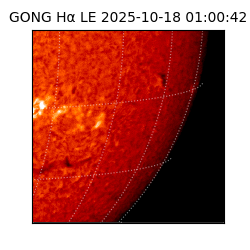 gong - 2025-10-18T01:00:42