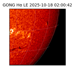 gong - 2025-10-18T02:00:42
