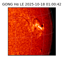 gong - 2025-10-18T01:00:42