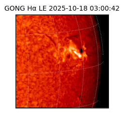 gong - 2025-10-18T03:00:42