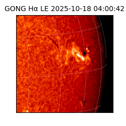 gong - 2025-10-18T04:00:42