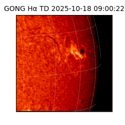 gong - 2025-10-18T09:00:22