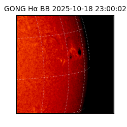 gong - 2025-10-18T23:00:02