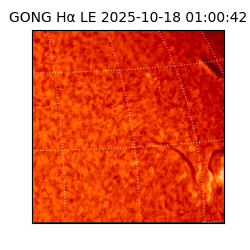 gong - 2025-10-18T01:00:42
