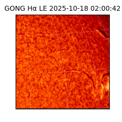 gong - 2025-10-18T02:00:42