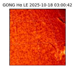 gong - 2025-10-18T03:00:42