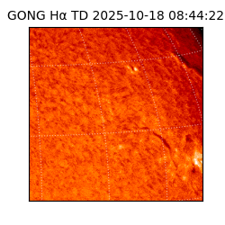 gong - 2025-10-18T08:44:22