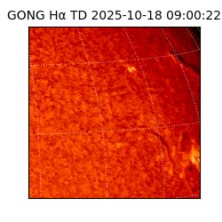 gong - 2025-10-18T09:00:22