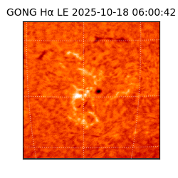 gong - 2025-10-18T06:00:42