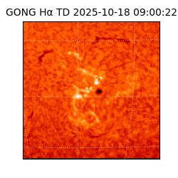 gong - 2025-10-18T09:00:22