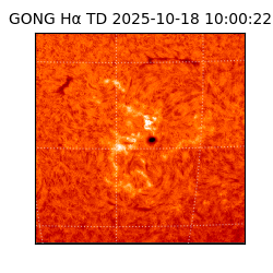 gong - 2025-10-18T10:00:22