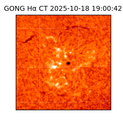 gong - 2025-10-18T19:00:42