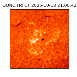 gong - 2025-10-18T21:00:42