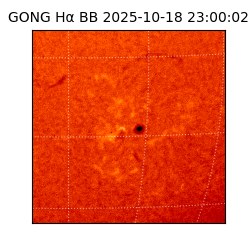 gong - 2025-10-18T23:00:02