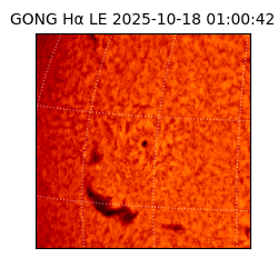 gong - 2025-10-18T01:00:42