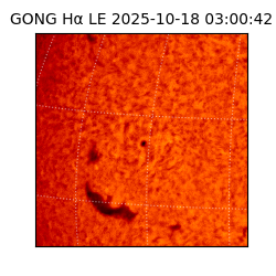 gong - 2025-10-18T03:00:42