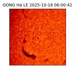 gong - 2025-10-18T06:00:42