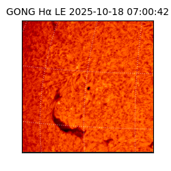 gong - 2025-10-18T07:00:42