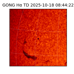 gong - 2025-10-18T08:44:22