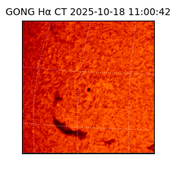 gong - 2025-10-18T11:00:42