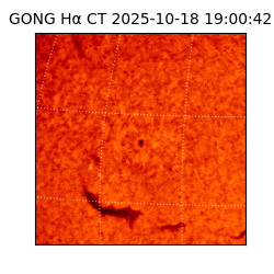 gong - 2025-10-18T19:00:42