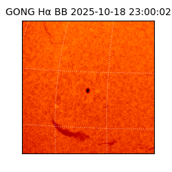 gong - 2025-10-18T23:00:02