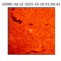 gong - 2025-10-18T01:00:42