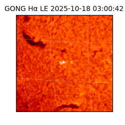 gong - 2025-10-18T03:00:42