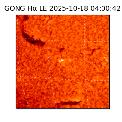 gong - 2025-10-18T04:00:42