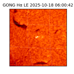 gong - 2025-10-18T06:00:42