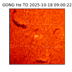 gong - 2025-10-18T09:00:22