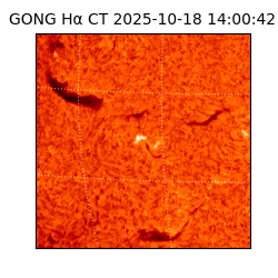 gong - 2025-10-18T14:00:42