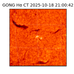gong - 2025-10-18T21:00:42