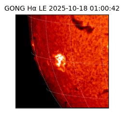 gong - 2025-10-18T01:00:42