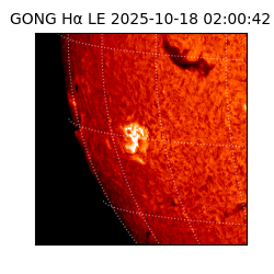 gong - 2025-10-18T02:00:42