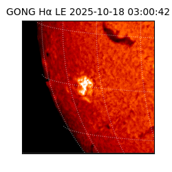 gong - 2025-10-18T03:00:42
