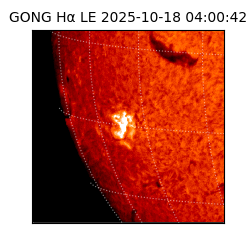 gong - 2025-10-18T04:00:42
