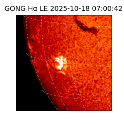 gong - 2025-10-18T07:00:42