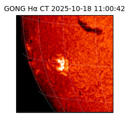 gong - 2025-10-18T11:00:42